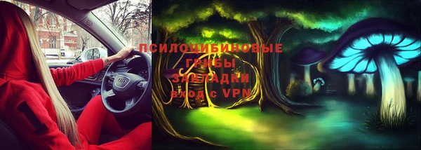 сатива Горнозаводск