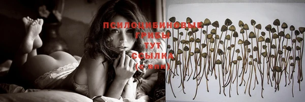 spice Вяземский