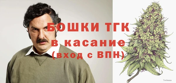 spice Вяземский