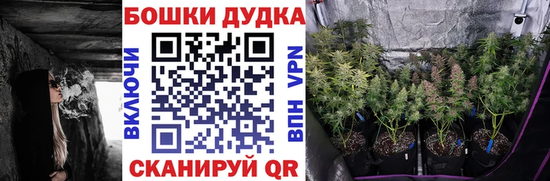 Конопля Ganja  Зеленоградск 
